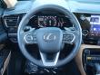 2024 LEXUS NX 250 250 Premium SUV