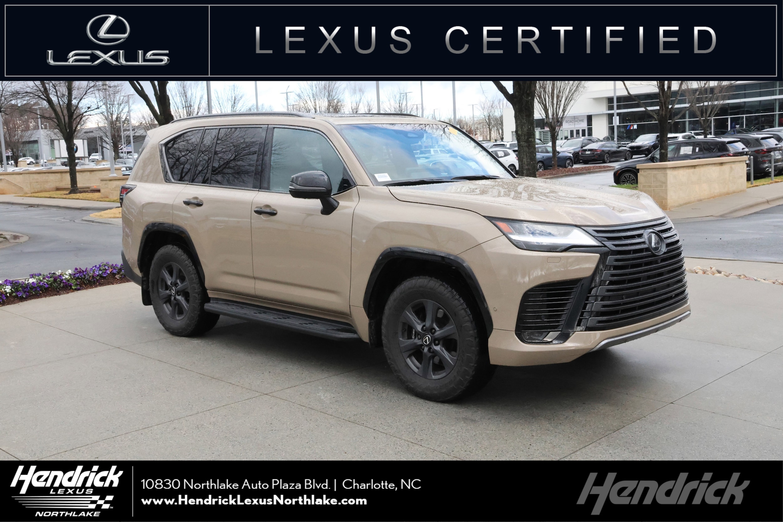 2025 Lexus LX Overtrail's photo