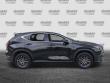 2024 LEXUS NX 250 Premium SUV