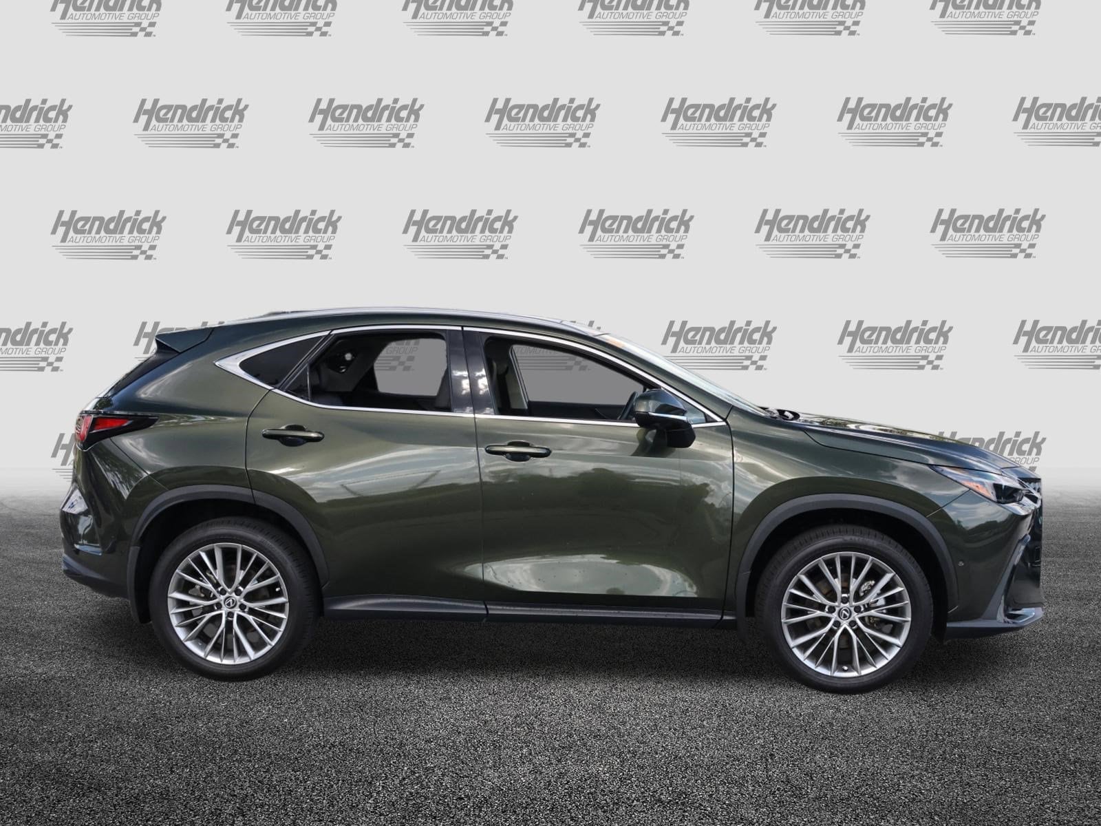 2025 LEXUS NX 350h Luxury photo 3