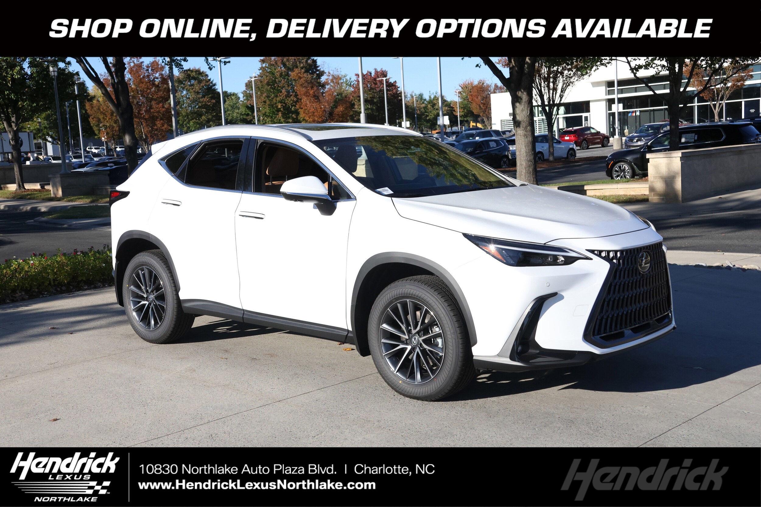 2026 Lexus NX 350's photo