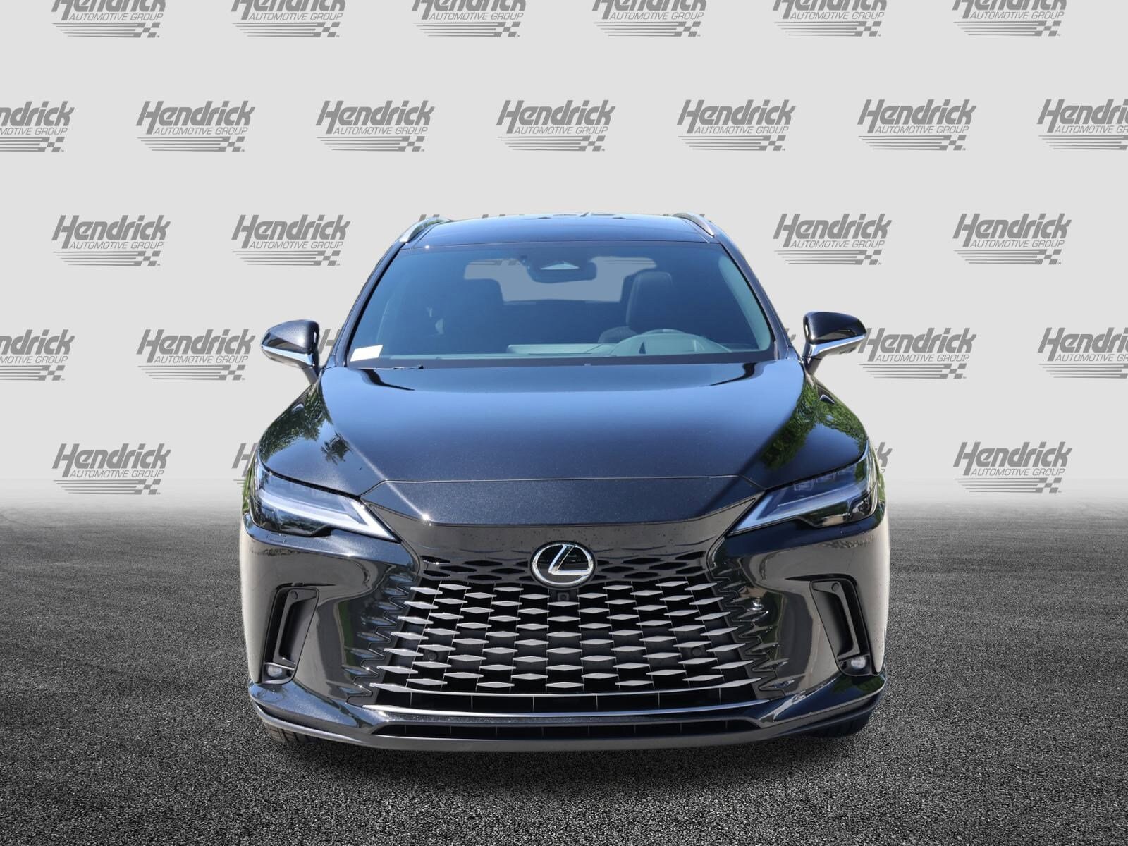 2025 Lexus RX 350 Luxury photo 3