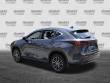 2024 LEXUS NX 250 250 Premium SUV