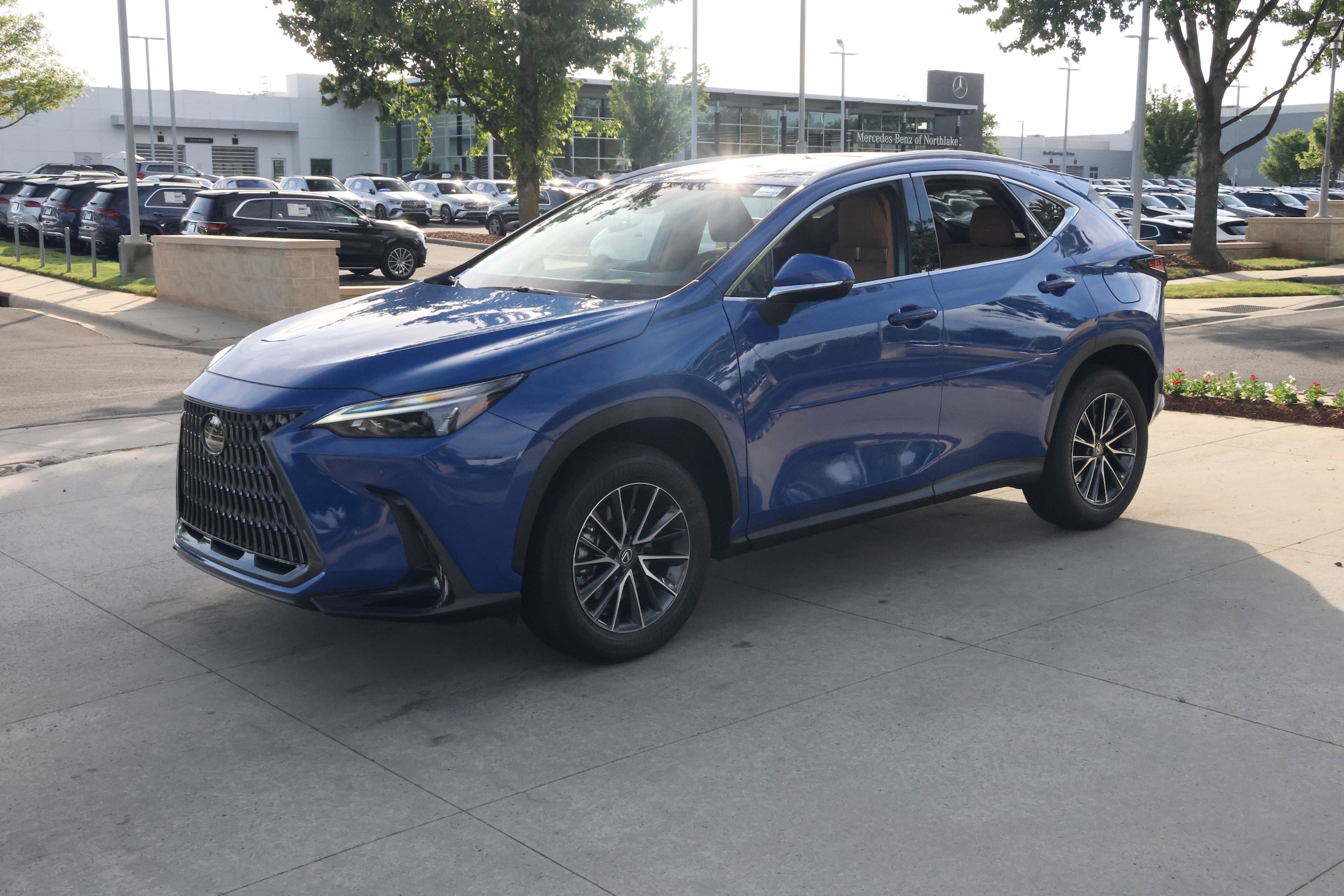 2025 LEXUS NX 250 Premium photo 2
