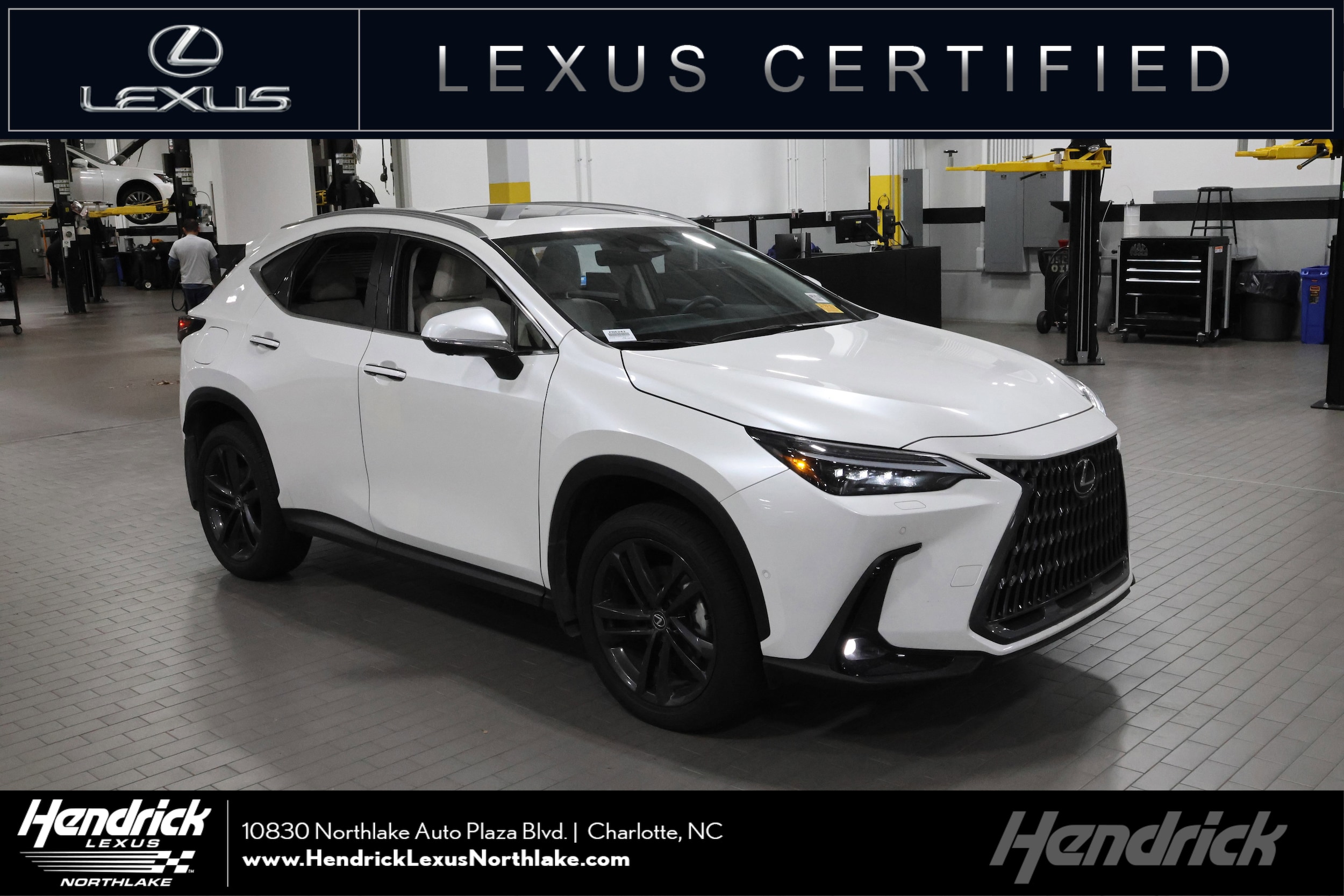 2025 Lexus NX PHEV 450h+'s photo