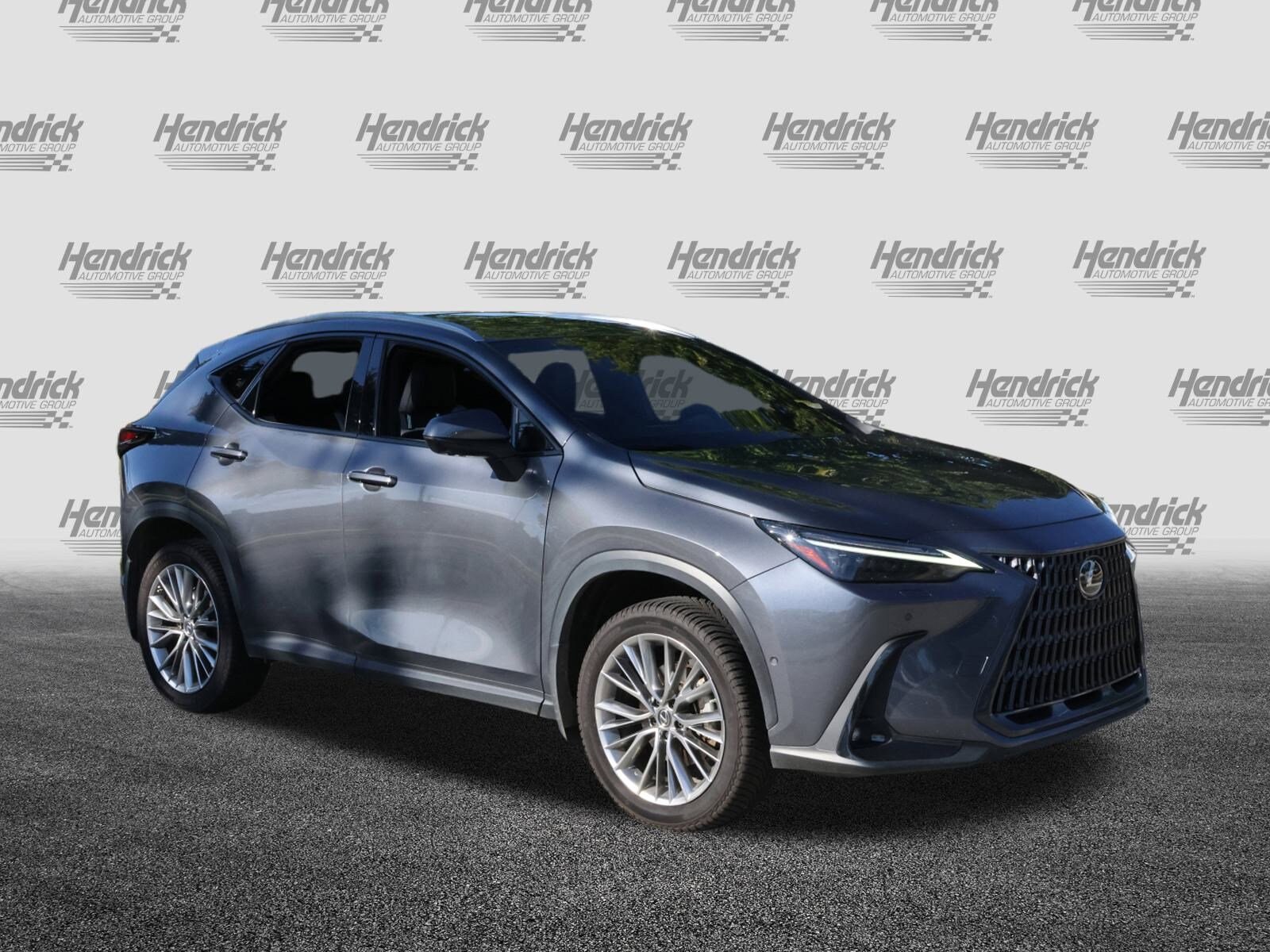 2022 Lexus NX 350h Luxury photo 2