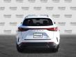 2026 LEXUS NX 350 SUV