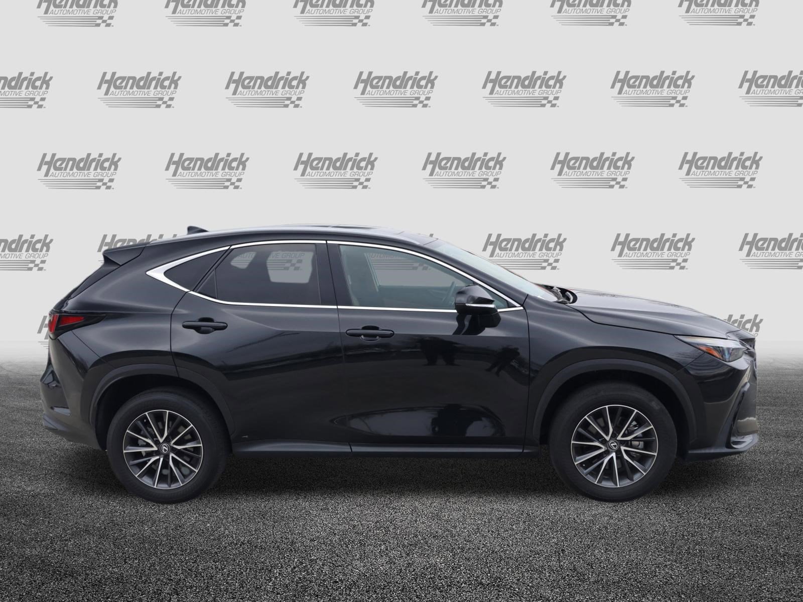 2024 LEXUS NX 350 Premium photo 3