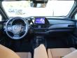 2025 LEXUS UX 300h Premium SUV