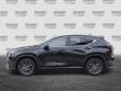 2025 LEXUS NX 250 Premium SUV