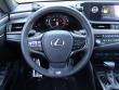 2021 LEXUS ES 350 350 F SPORT Sedan