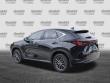 2025 LEXUS NX 250 Premium SUV