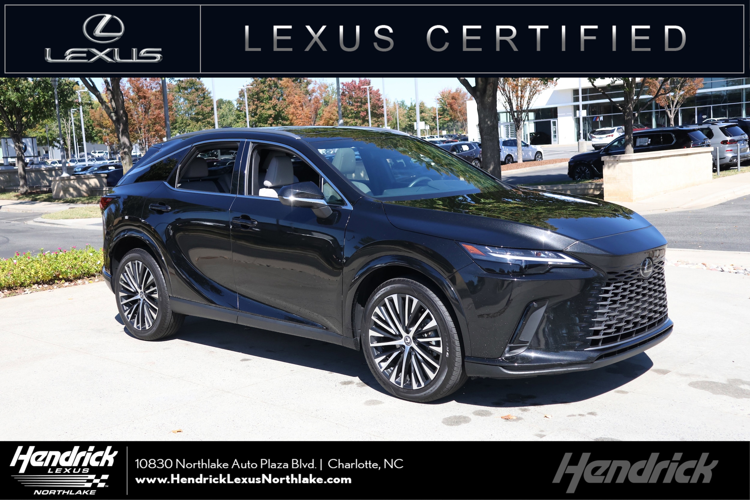 2024 Lexus RX 350's photo