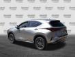 2024 LEXUS NX 250 Premium SUV