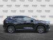 2025 LEXUS NX 350 350 Premium SUV