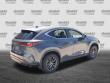 2025 LEXUS NX 350 350 Premium SUV