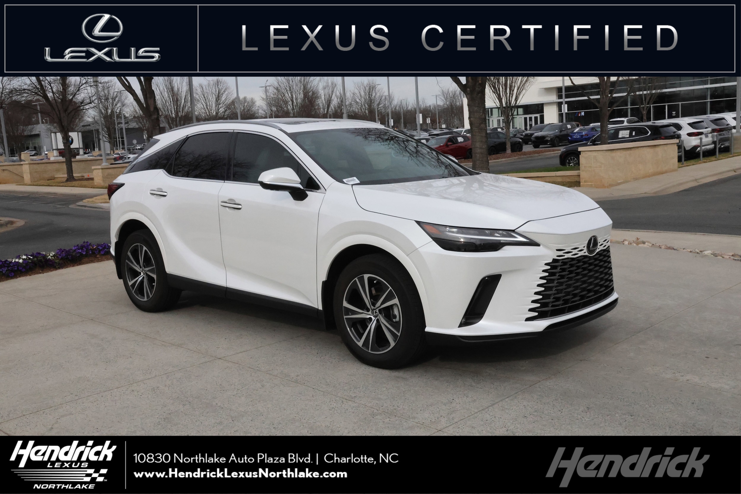 2025 Lexus RX Hybrid 350h's photo