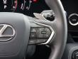 2025 LEXUS NX 250 Premium SUV