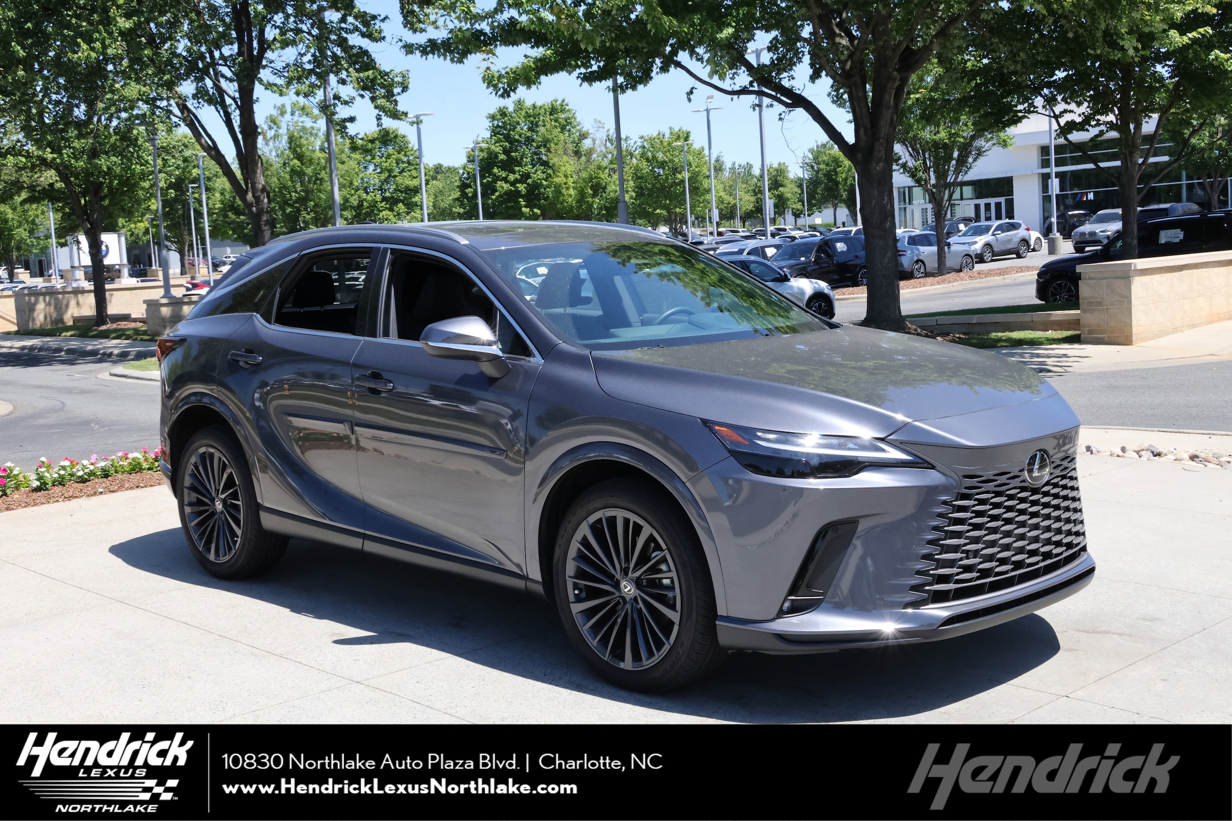 2025 Lexus RX 350's photo
