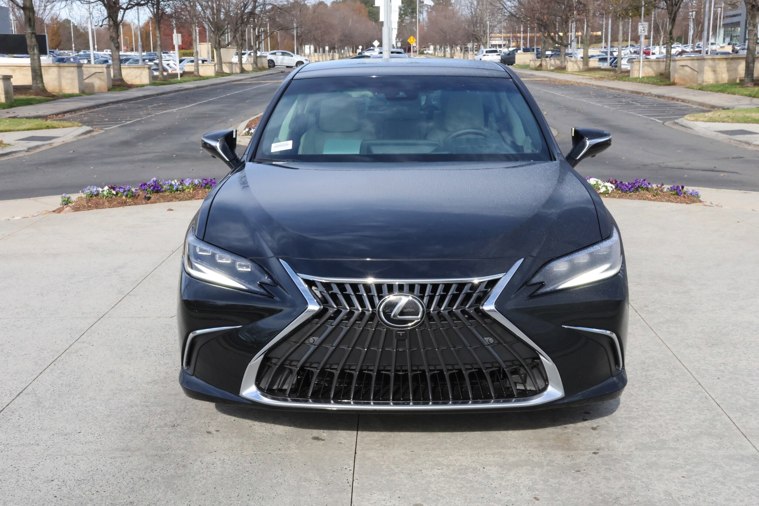2025 Lexus ES 350 Ultra Luxury photo 2