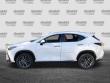 2026 LEXUS NX 350 SUV