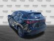 2025 LEXUS NX 350 350 Premium SUV