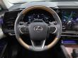 2025 LEXUS RX 350h Premium Plus SUV