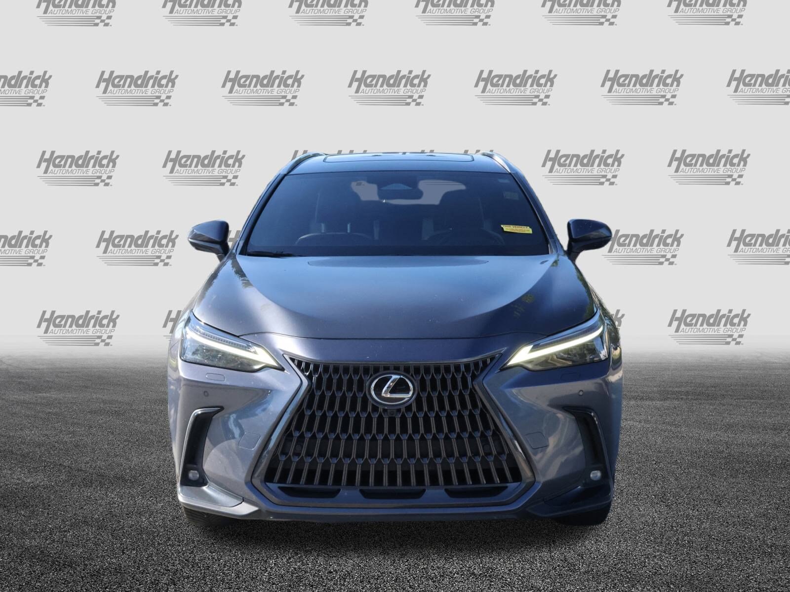 2022 Lexus NX 350h Luxury photo 3