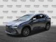 2024 LEXUS NX 250 250 Premium SUV