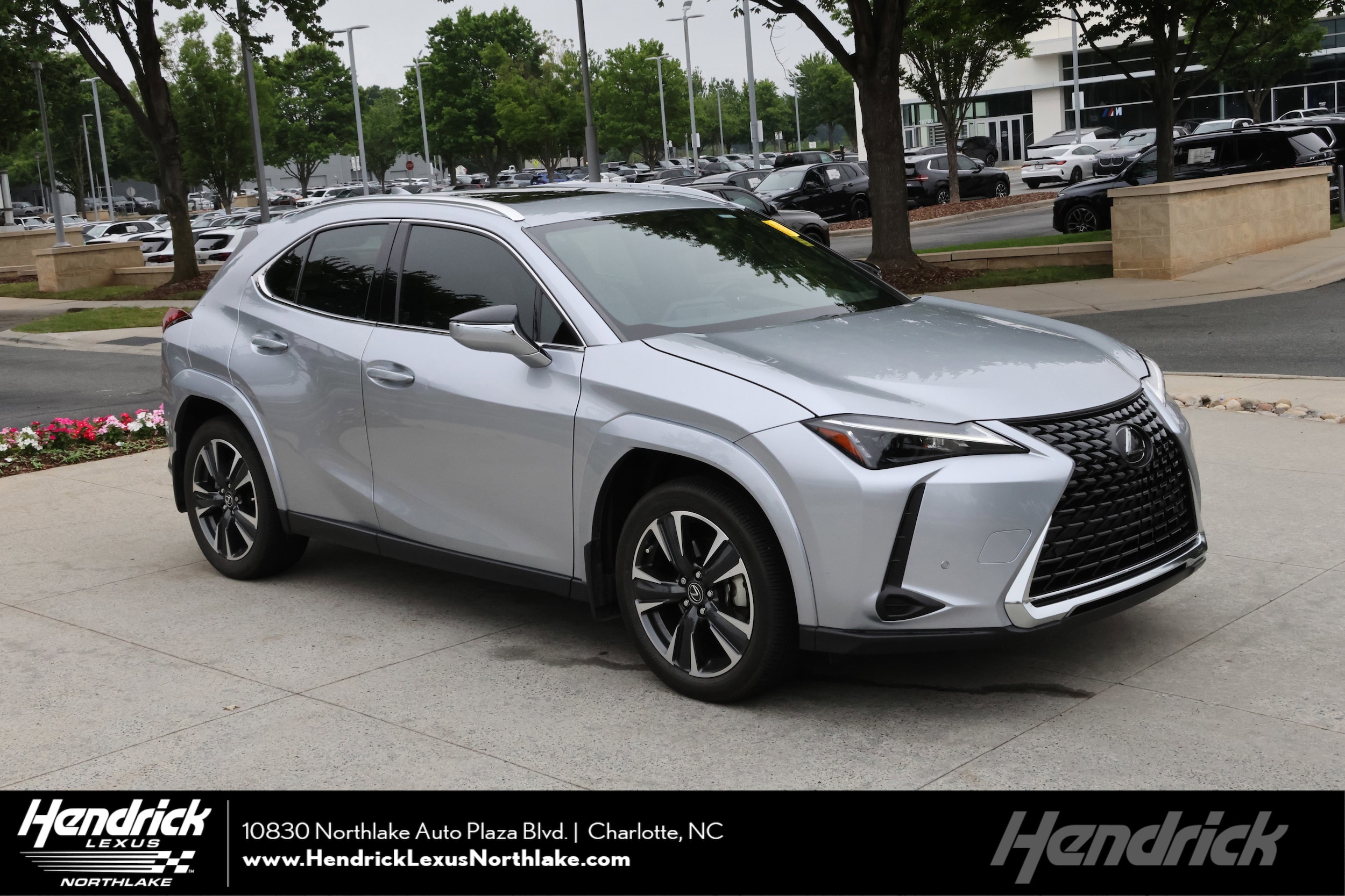 2024 Lexus UX 300h 250h Premium's photo
