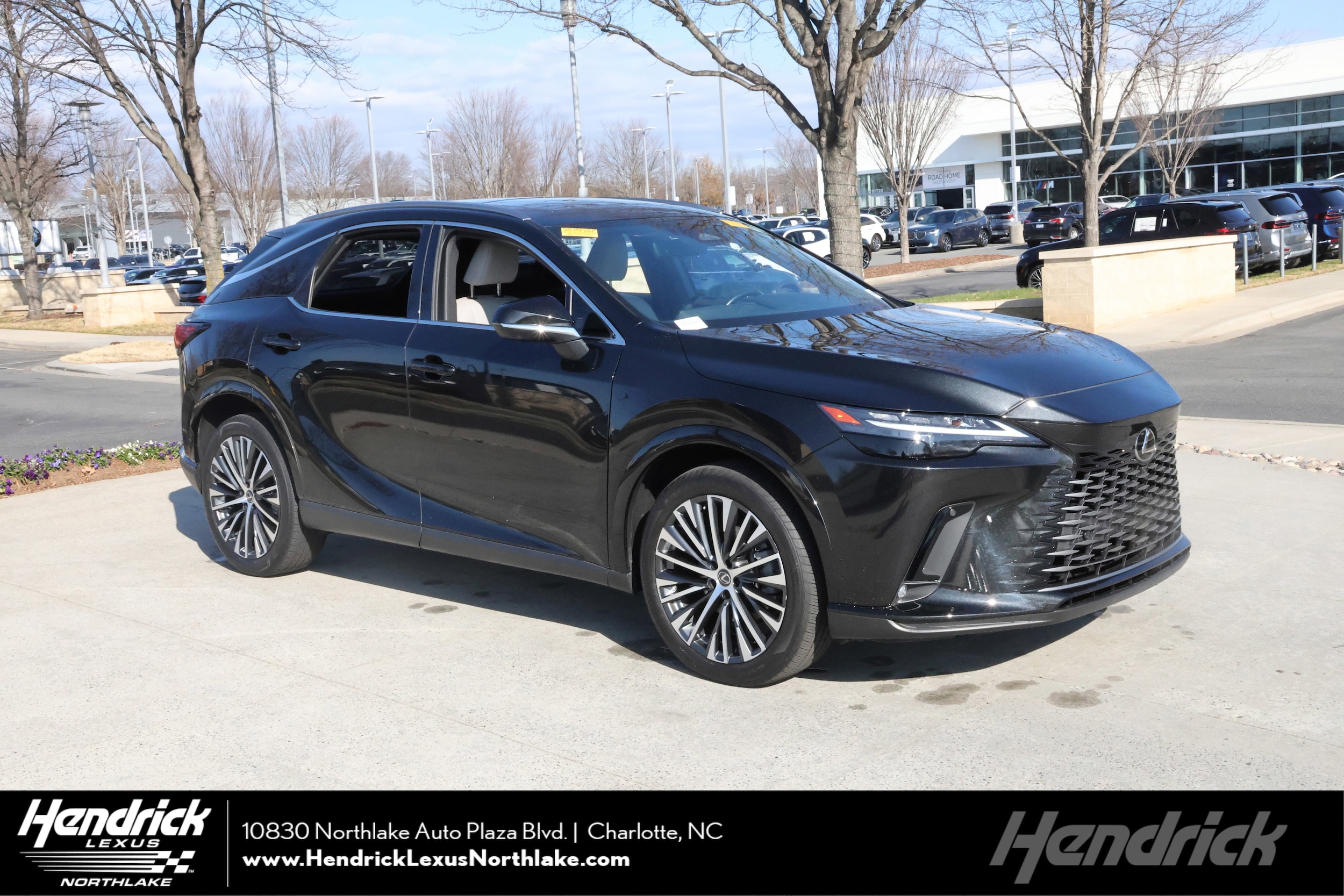 2023 Lexus RX 350's photo