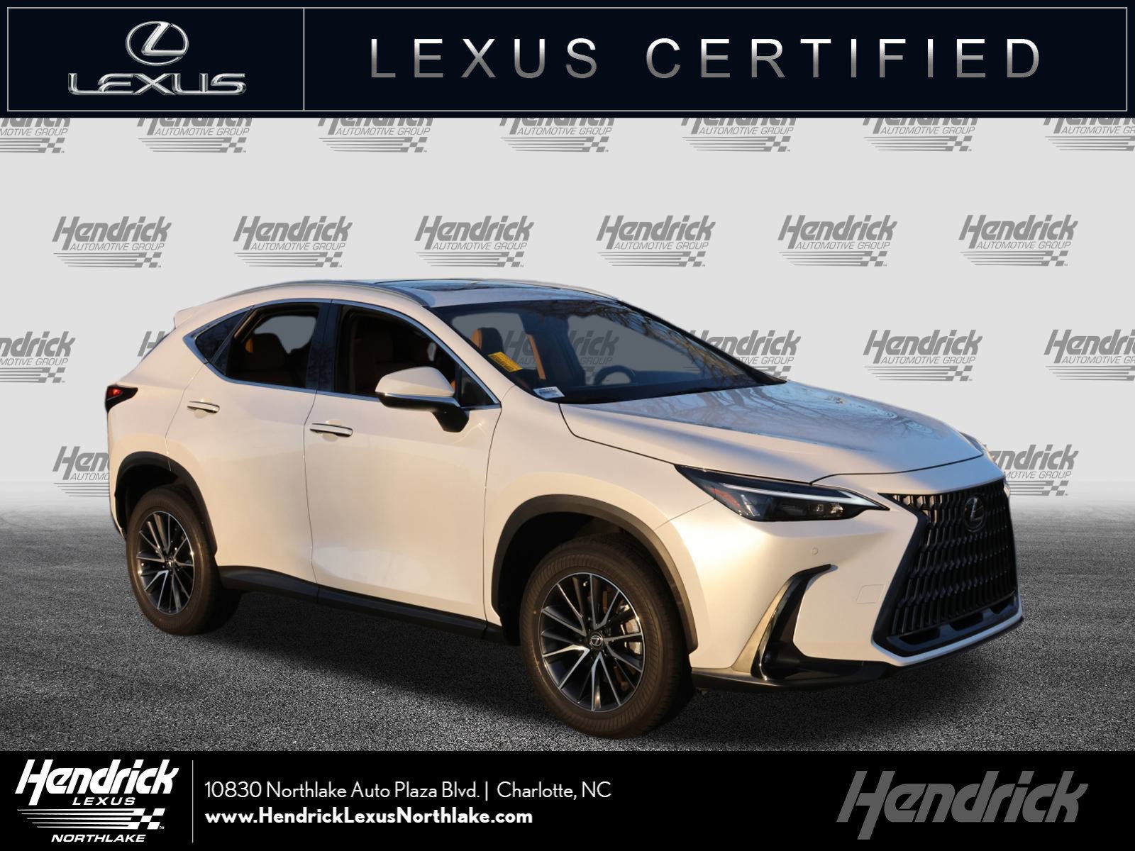 2025 Lexus NX 250's photo