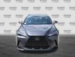 2024 LEXUS NX 250 250 Premium SUV
