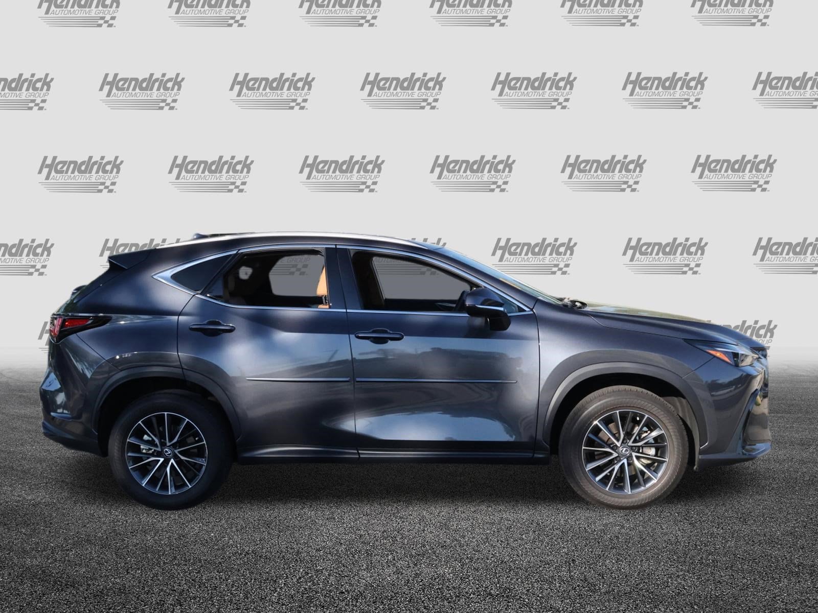 2025 LEXUS NX 250 Premium photo 3