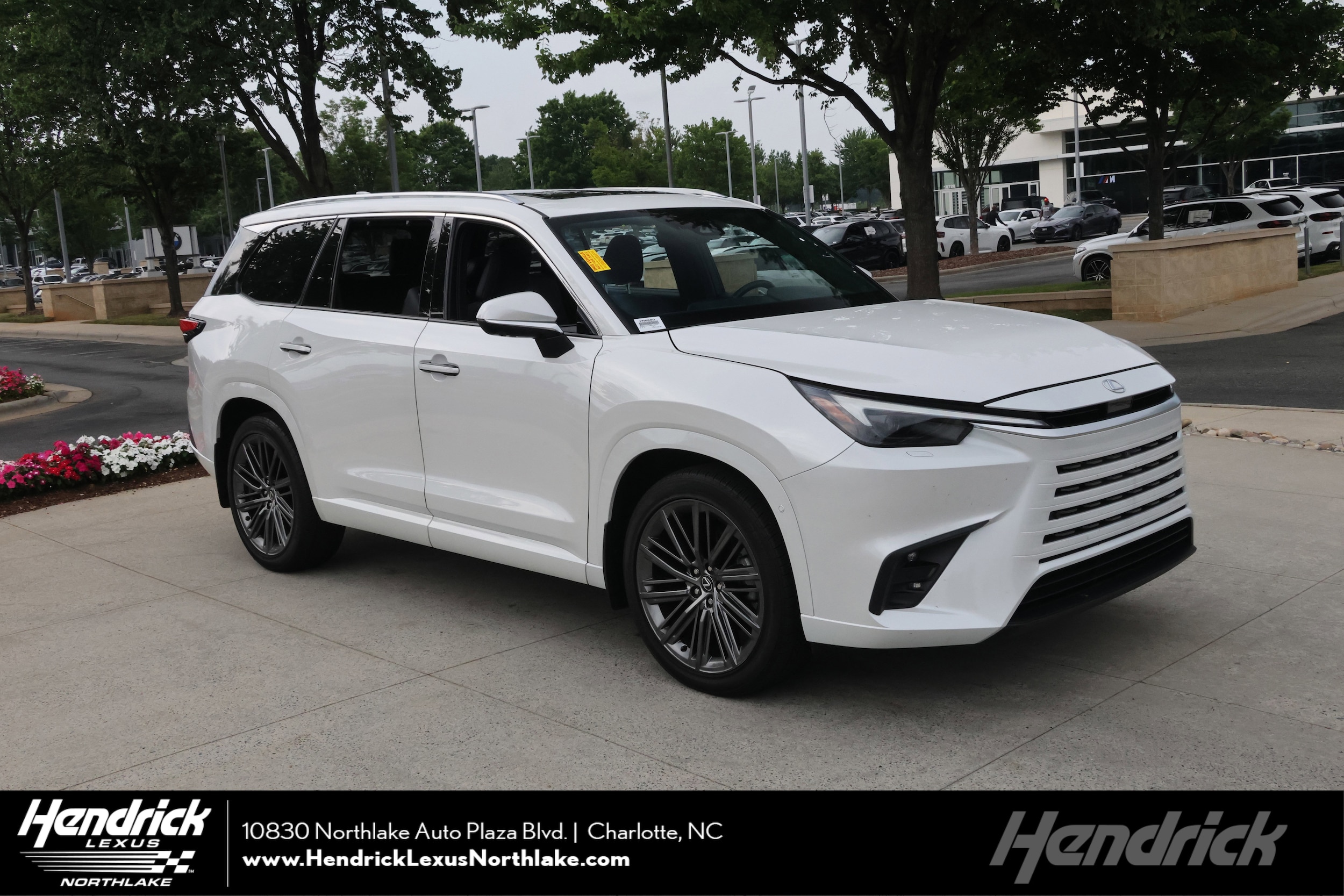 2024 Lexus TX 350 350 Luxury FWD's photo