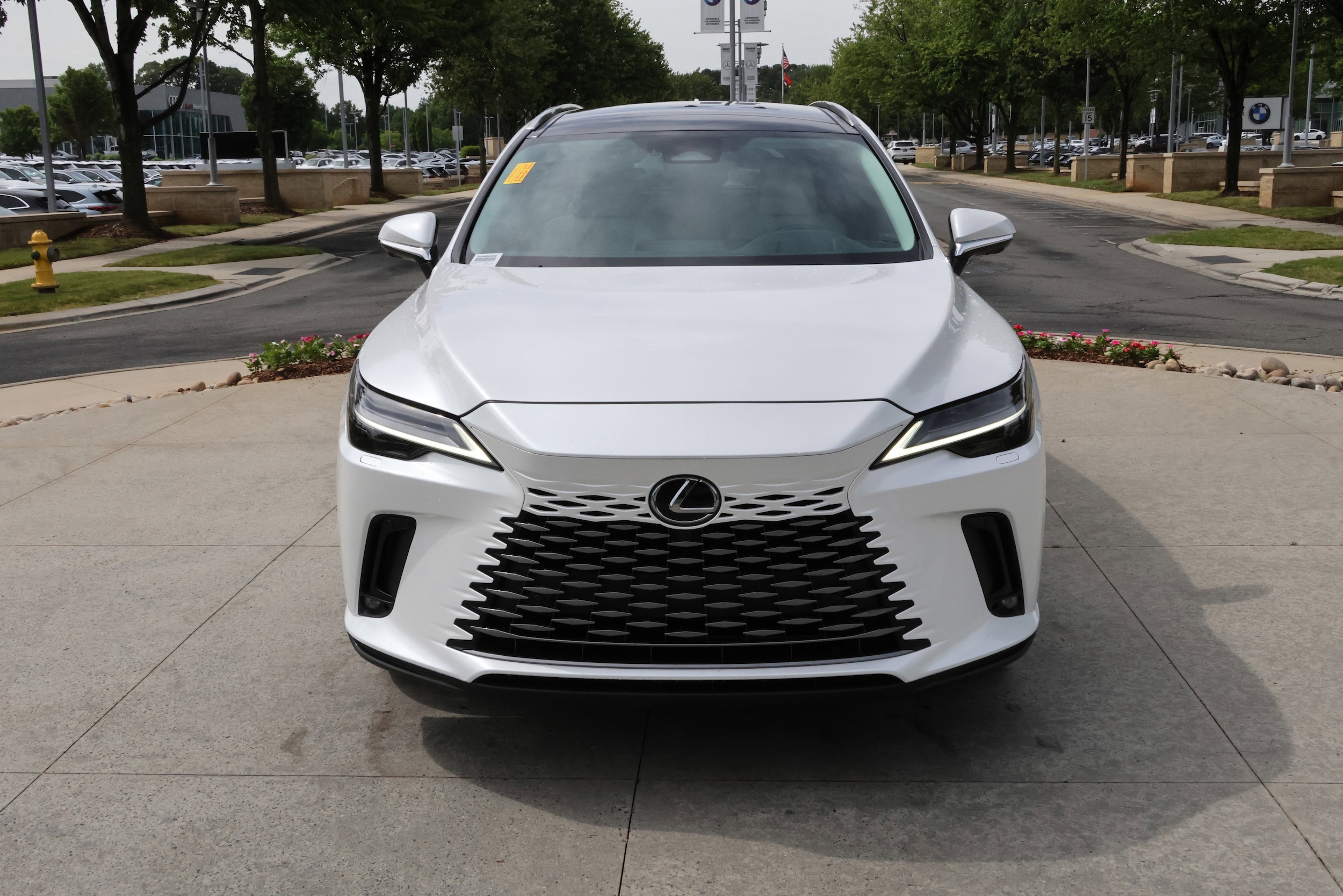 2023 LEXUS RX 350 Luxury photo 2