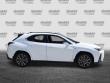 2023 LEXUS UX 250h 250h F SPORT Handling SUV