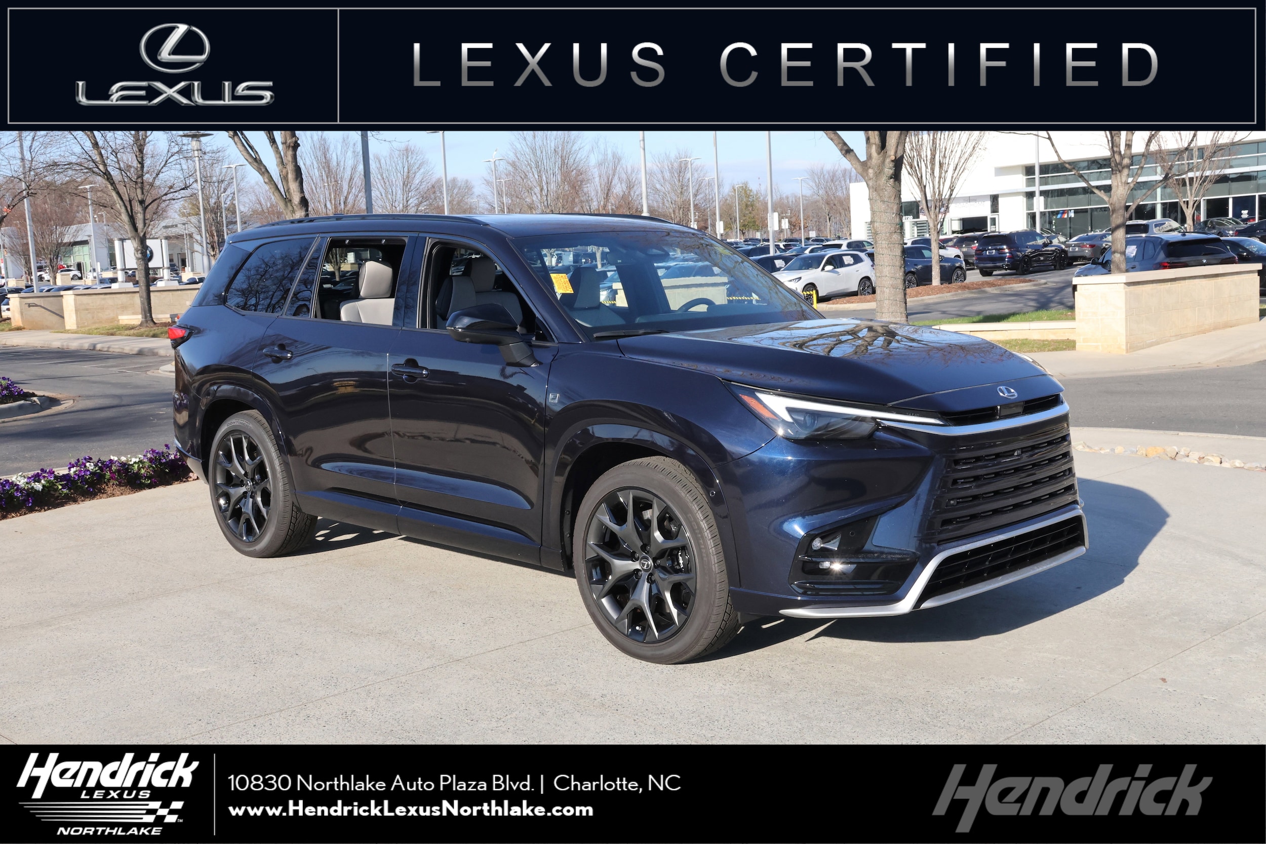 2024 Lexus TX Hybrid 500h's photo