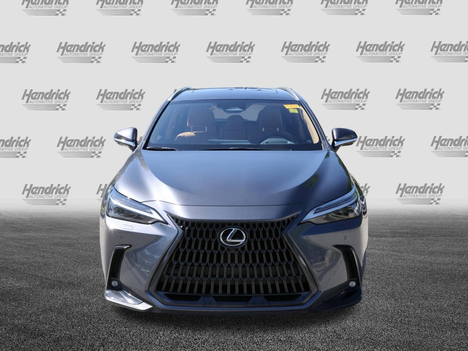 2024 LEXUS NX 450h+ Luxury photo 2