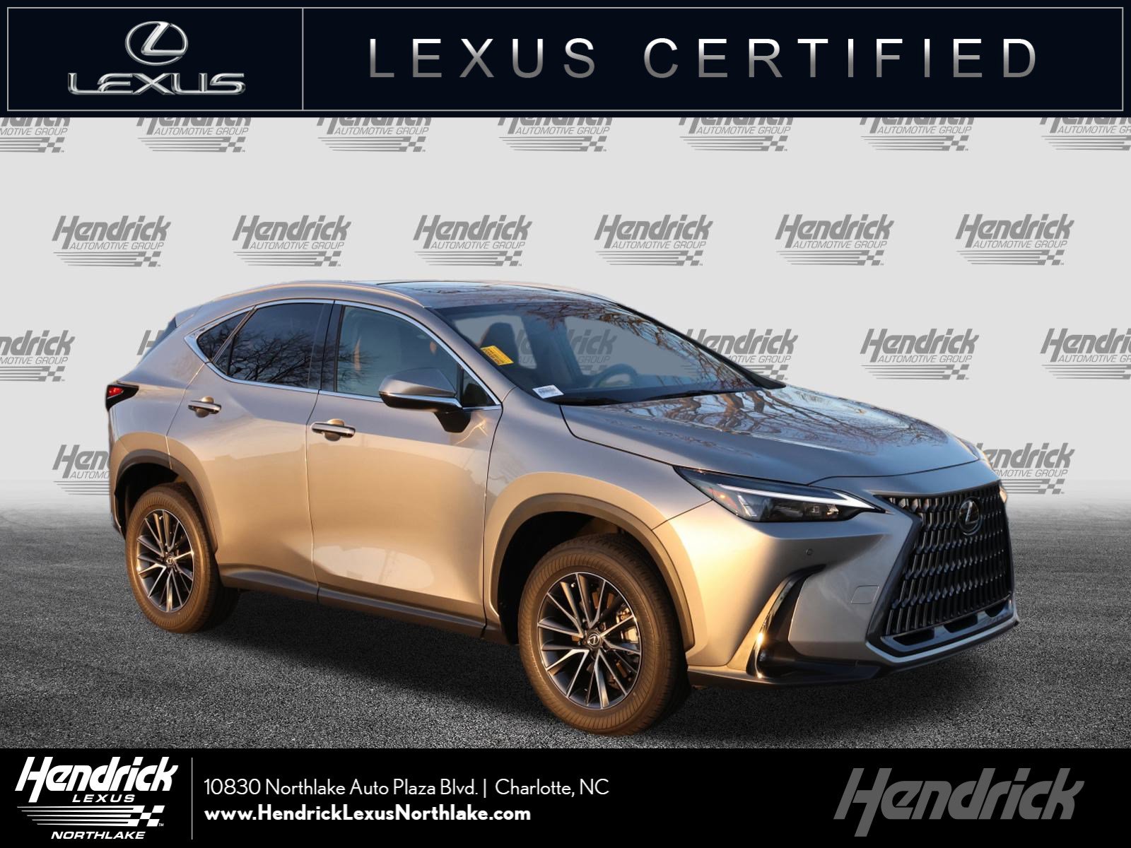 2025 Lexus NX 250's photo