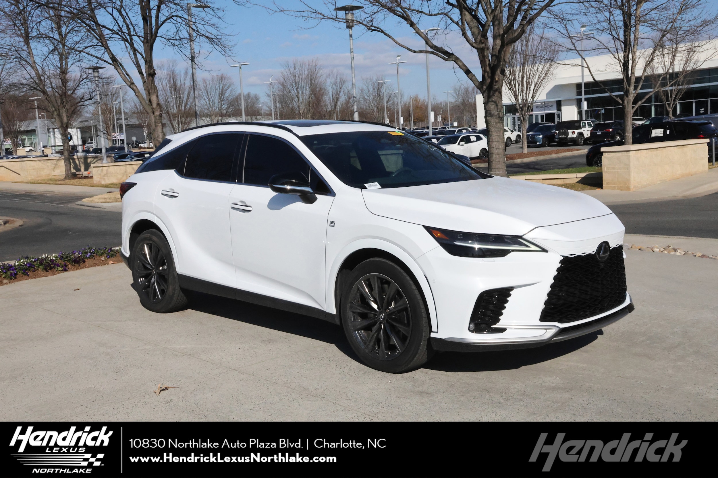 2024 Lexus RX 350 F SPORT's photo