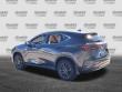 2024 LEXUS NX 250 250 Premium SUV