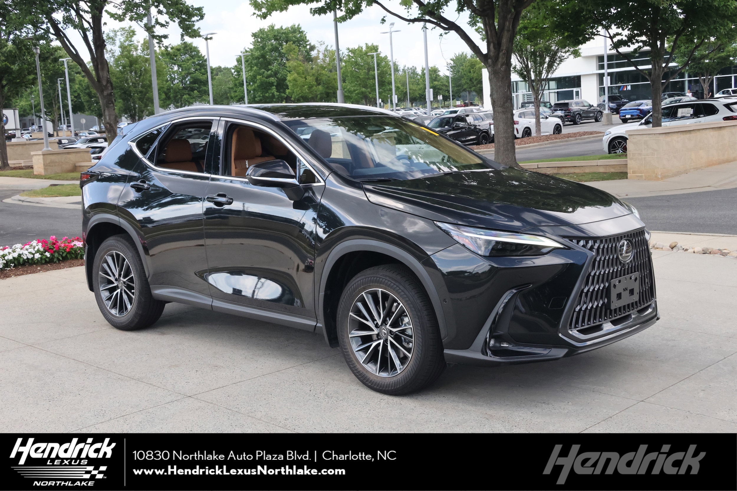2024 Lexus NX 350h 350h Luxury AWD's photo