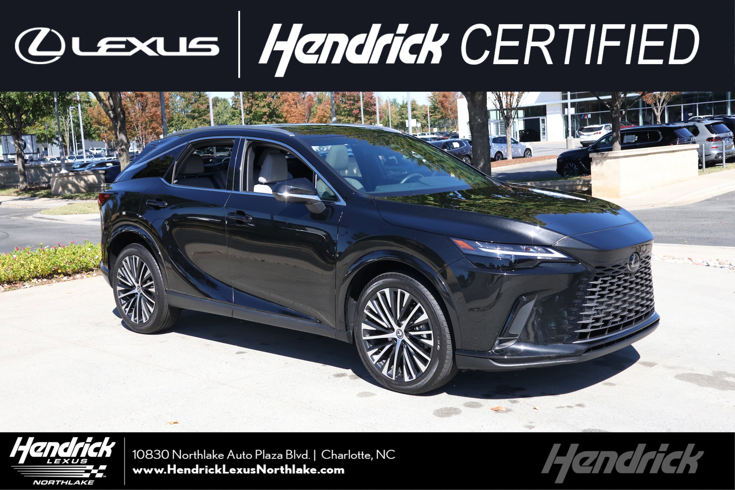 2024 Lexus RX 350's photo