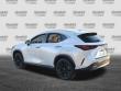 2025 LEXUS NX 350h 350h Luxury SUV