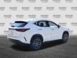 2026 LEXUS NX 350 SUV