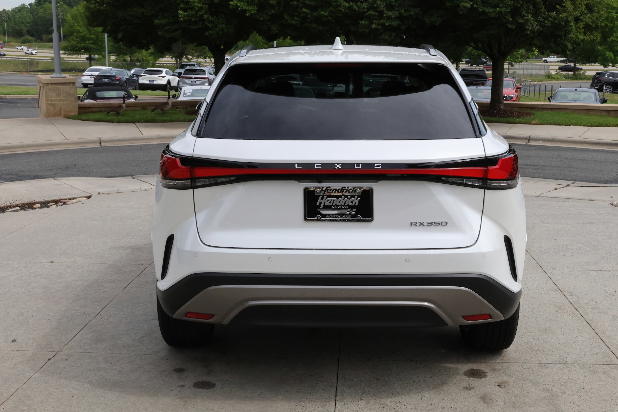 2023 LEXUS RX 350 Luxury photo 6