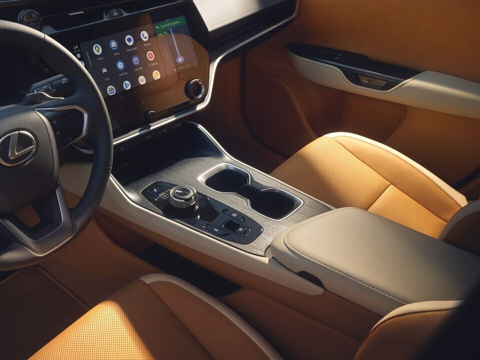 2026 Lexus RZ Interior