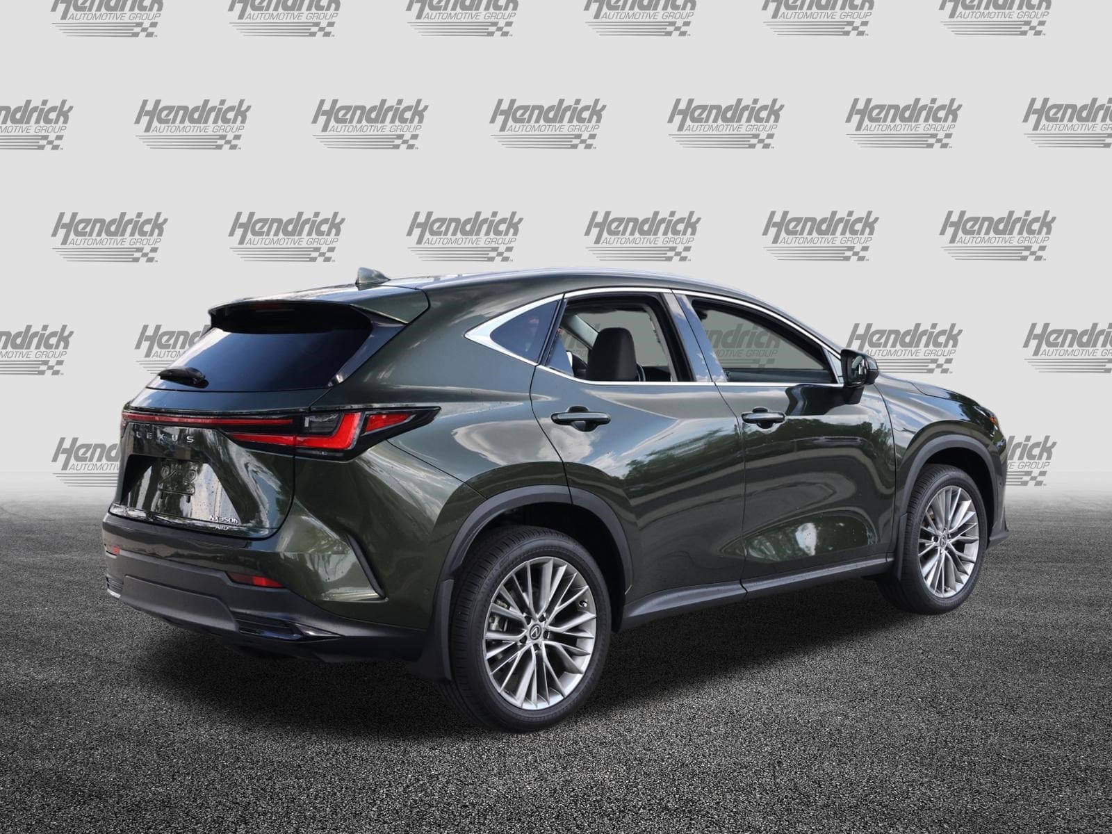 2025 LEXUS NX 350h Luxury photo 6
