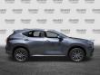 2024 LEXUS NX 250 250 Premium SUV